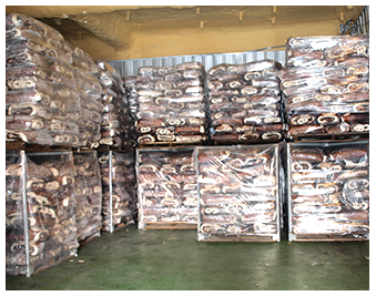 生产设施（HACCP）