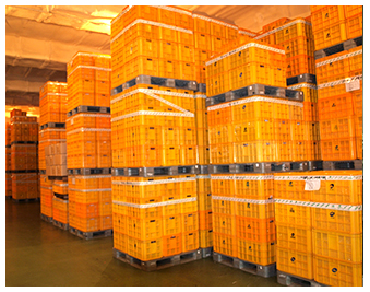 生产设施（HACCP）