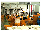 切开解冻鱿鱼的肚子，分离内脏和鱿鱼脚。