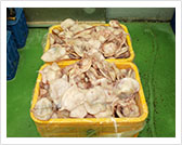 调味、排列、干燥