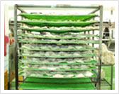 调味、排列、干燥