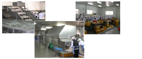 Process Chart Picture